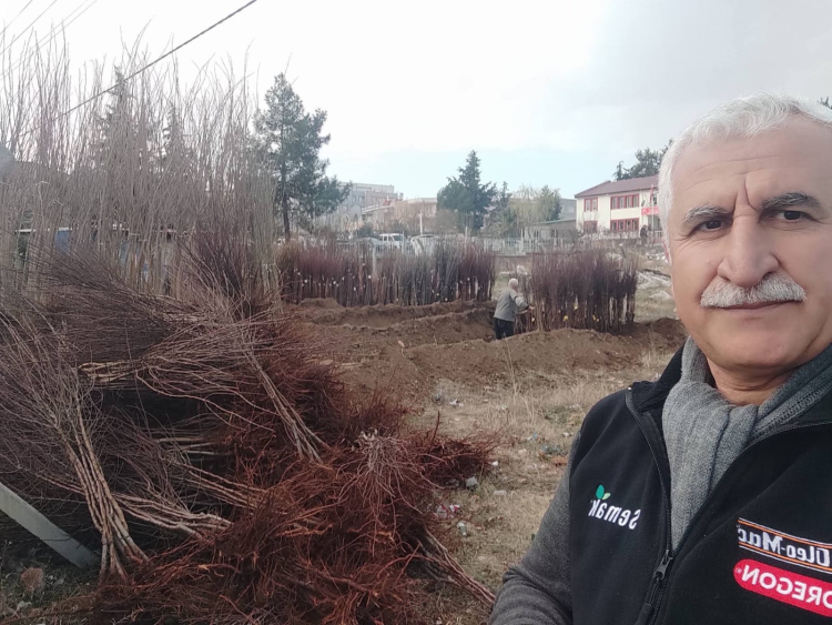 Fidan dikilmesinden uyulması gereken kurallar